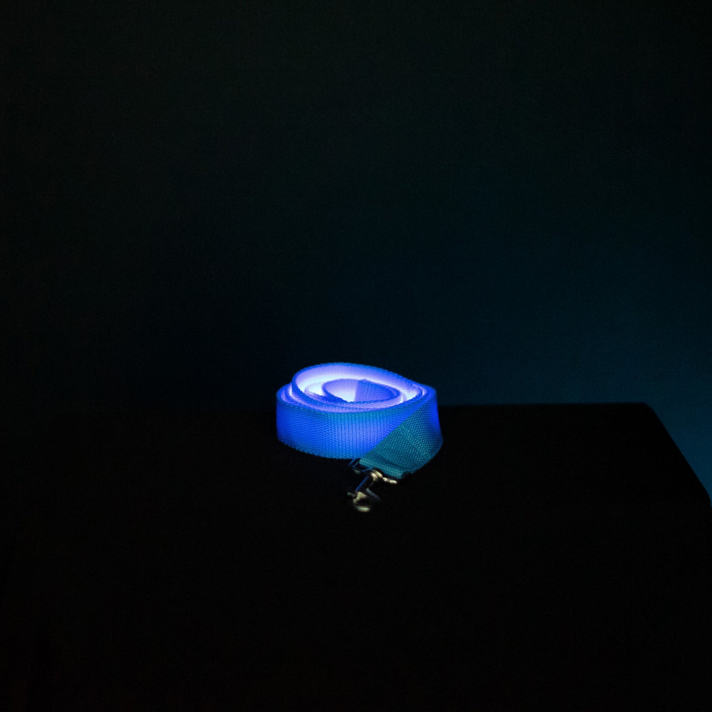 LuminLeash - LED-Hundeleine
