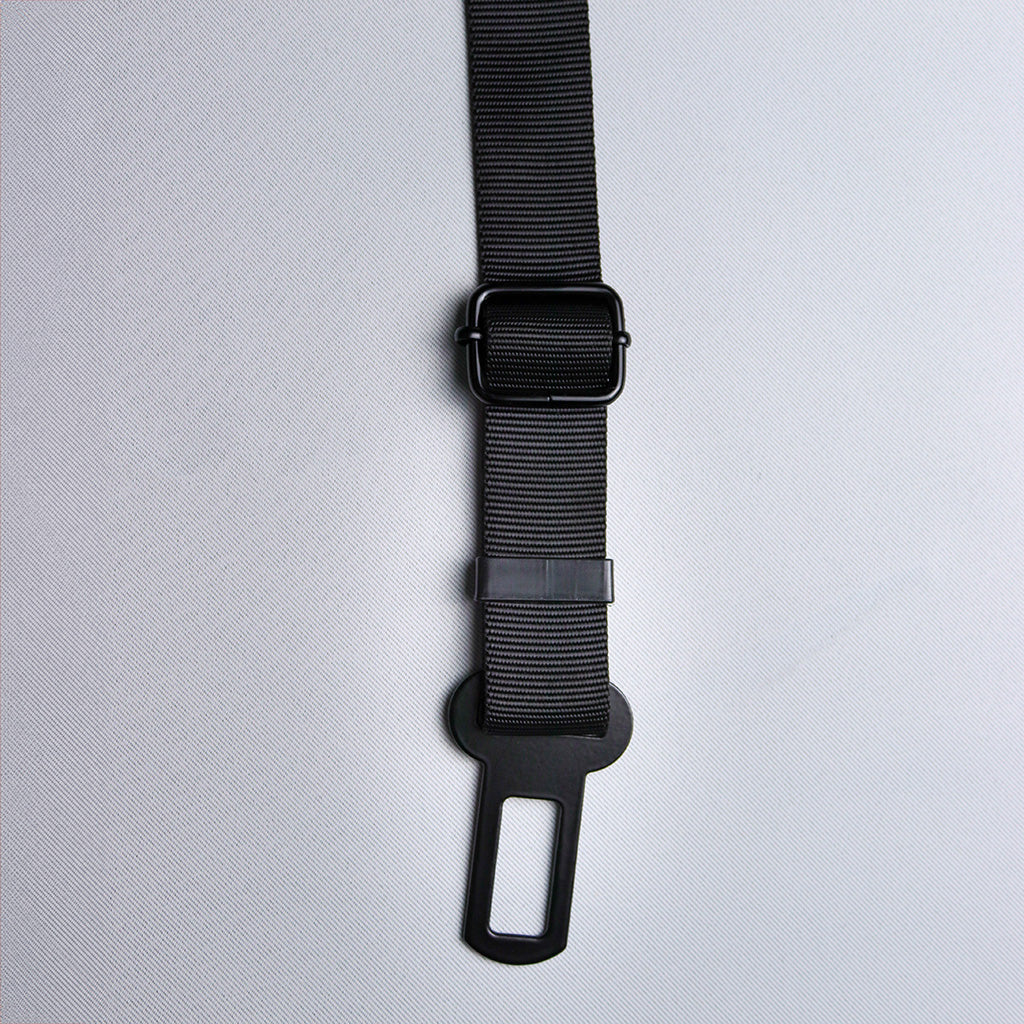 LuminDrive