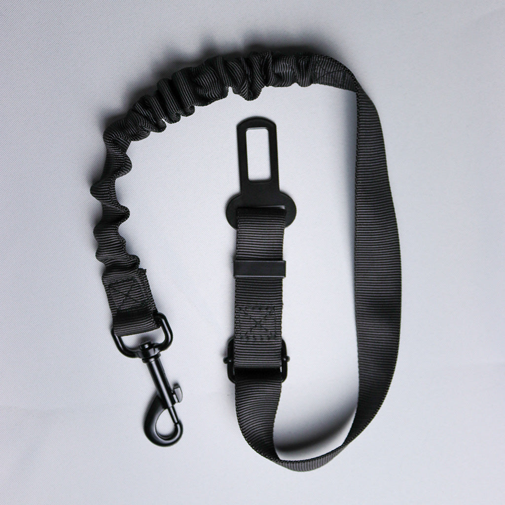 LuminDrive
