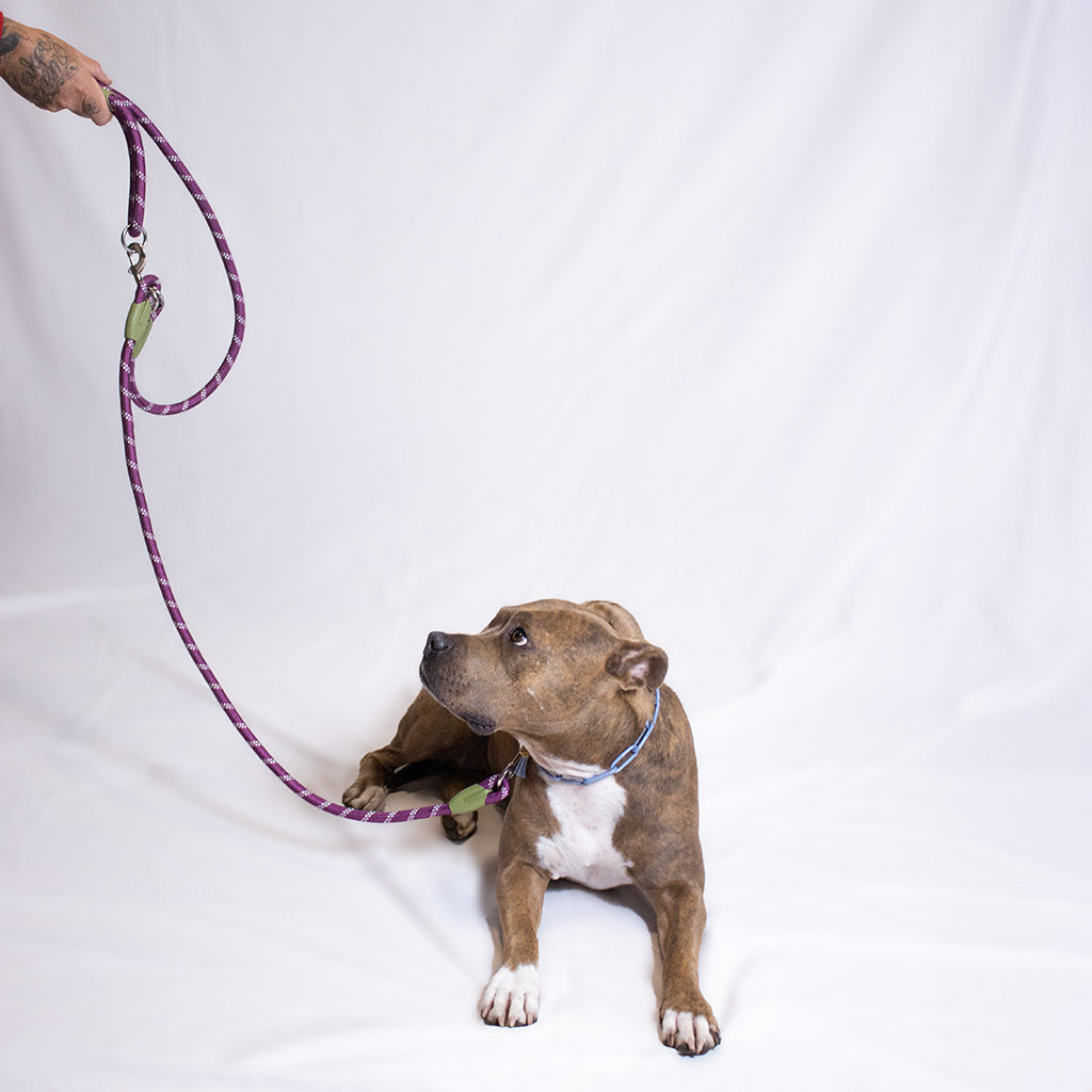 LuminLeash ShoulderFit
